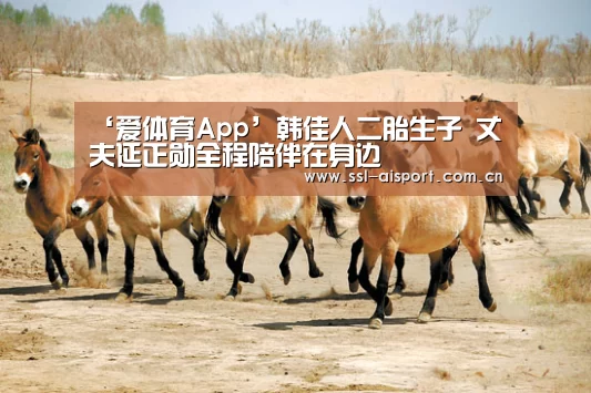 ‘爱体育App’韩佳人二胎生子 丈夫延正